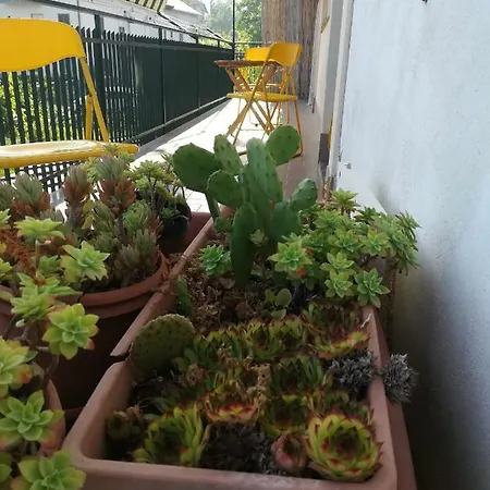 アパート Blanche