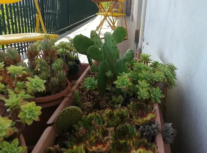 Διαμέρισμα Blanche