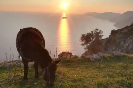 Διαμέρισμα Blanche